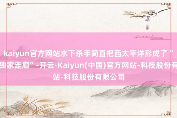 kaiyun官方网站水下杀手简直把西太平洋形成了“潜艇的独家走廊”-开云·Kaiyun(中国)官方网站-科技股份有限公司