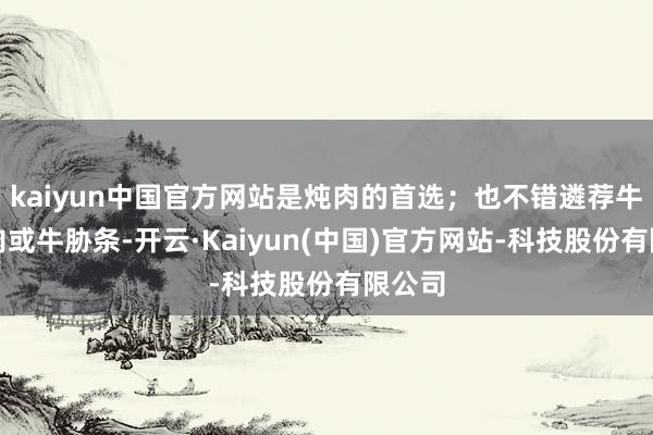 kaiyun中国官方网站是炖肉的首选；也不错遴荐牛腱子肉或牛胁条-开云·Kaiyun(中国)官方网站-科技股份有限公司