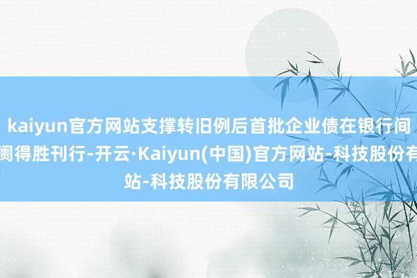kaiyun官方网站支撑转旧例后首批企业债在银行间债券阛阓得胜刊行-开云·Kaiyun(中国)官方网站-科技股份有限公司