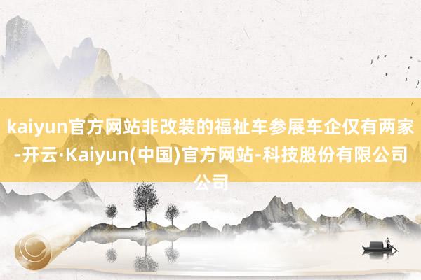 kaiyun官方网站非改装的福祉车参展车企仅有两家-开云·Kaiyun(中国)官方网站-科技股份有限公司