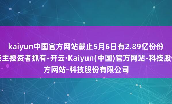 kaiyun中国官方网站截止5月6日有2.89亿份份额由个东谈主投资者抓有-开云·Kaiyun(中国)官方网站-科技股份有限公司