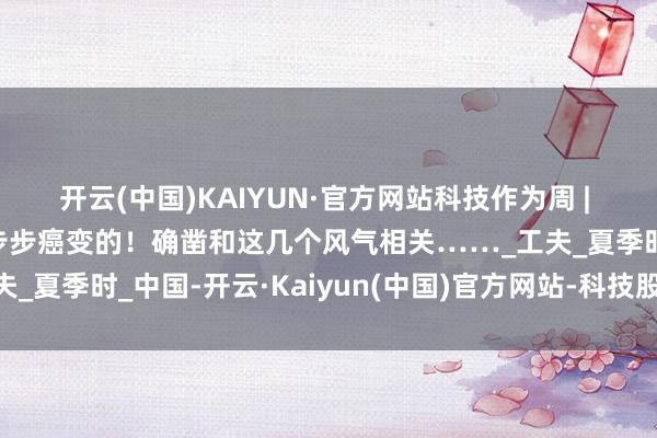 开云(中国)KAIYUN·官方网站科技作为周 | 科普：乳腺即是这么一步步癌变的！确凿和这几个风气相关……_工夫_夏季时_中国-开云·Kaiyun(中国)官方网站-科技股份有限公司