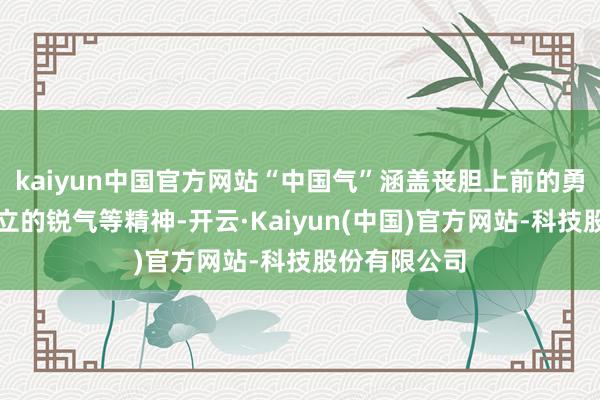 kaiyun中国官方网站“中国气”涵盖丧胆上前的勇气、自生自立的锐气等精神-开云·Kaiyun(中国)官方网站-科技股份有限公司