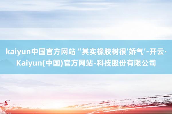 kaiyun中国官方网站“其实橡胶树很‘娇气’-开云·Kaiyun(中国)官方网站-科技股份有限公司